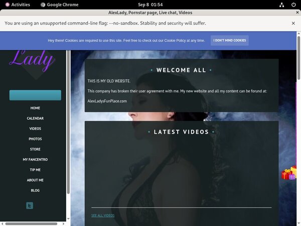 Alexlady.modelcentro.com Checkout Page