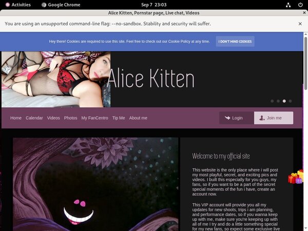 Alicekitten.modelcentro.com Free Password