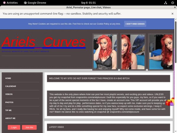 Ariel ????