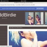 BaddBirdie Galleries