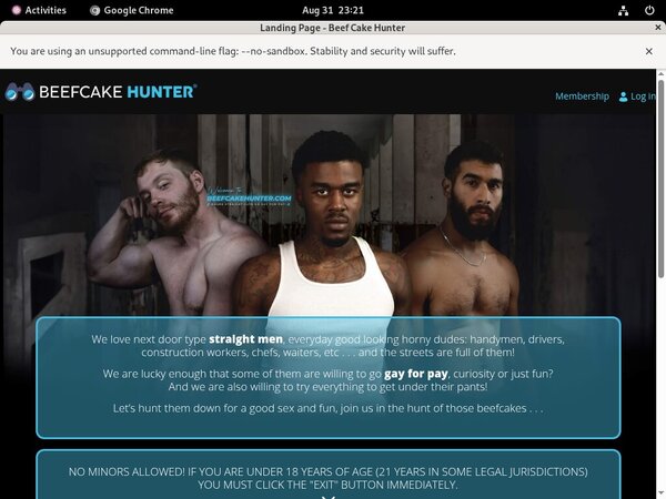 Beef Cake Hunter Password Generator