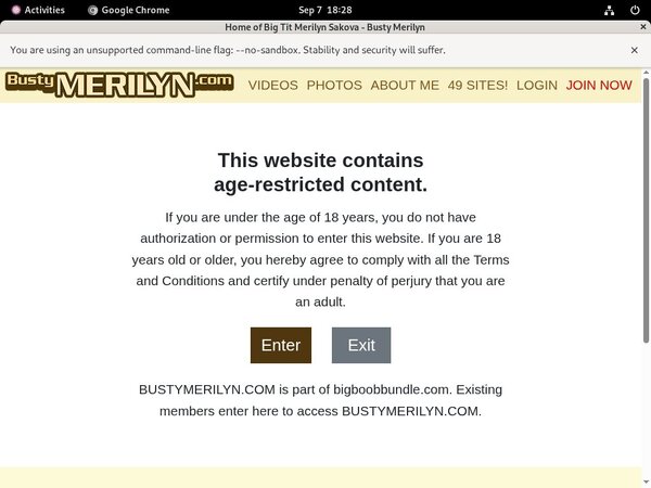 Bustymerilyn Premium Pass