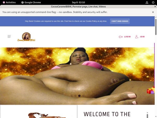 CocoaCaramelBBW With Discount