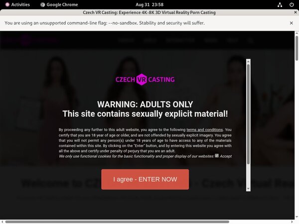 Czech VR Casting Coupon Discount
