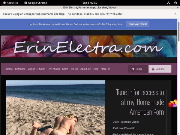 ErinElectra Passwords Blog