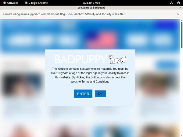 Free Login For Bad Puppy
