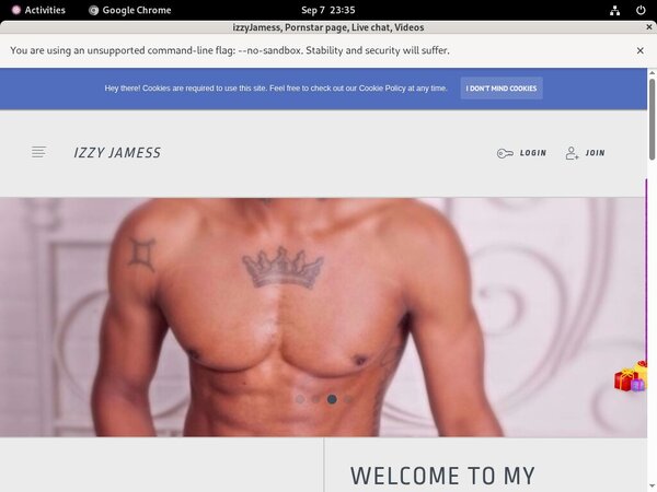Free Passwords For Izzyjamess.modelcentro.com