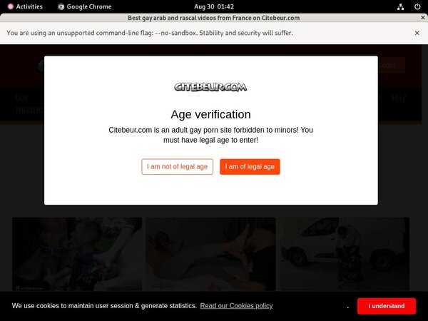 Free Premium Accounts For Citebeur