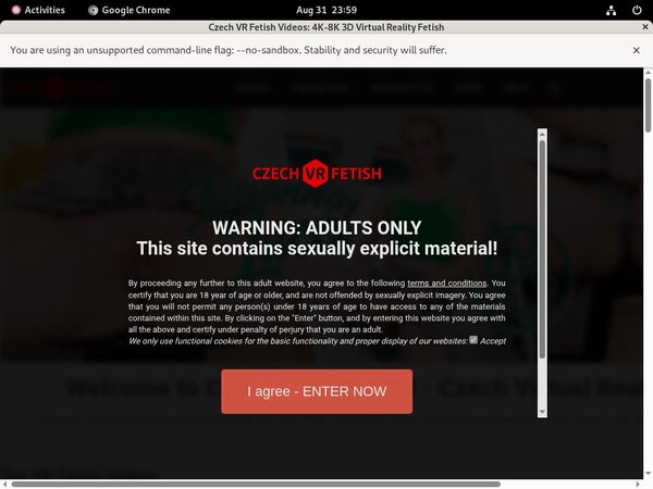 FreeCzech VR Fetish Password