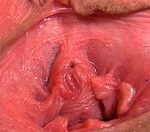 Gape My Pussy Site Rip Link