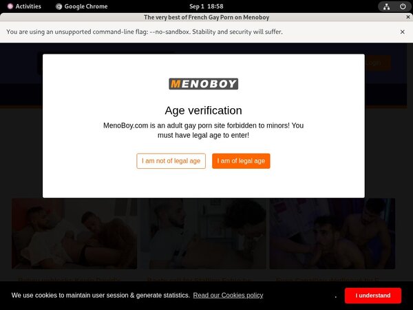 Gay Menoboy.com