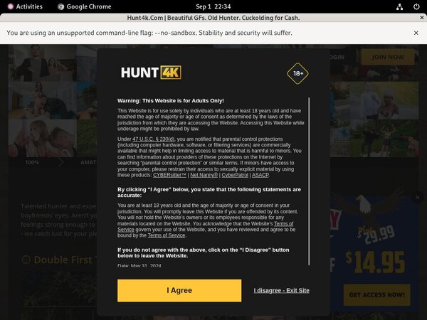 Hunt 4k Premium Logins