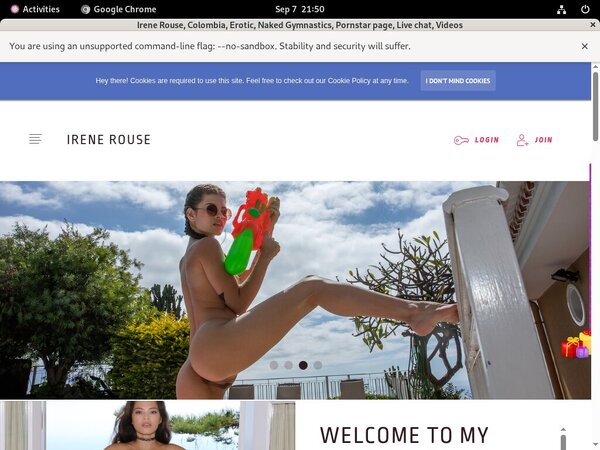 Irenerouse.com Hd Porn Videos