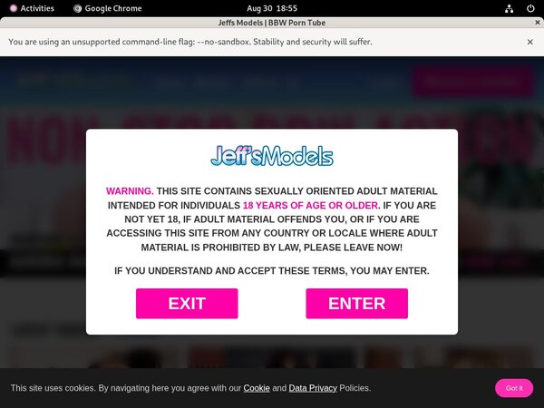 Jeff's Models With Paysafecard