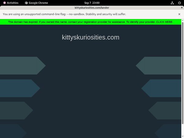 Kitty'sKuriosities With Paysafecard