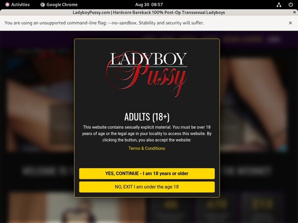 Ladyboy Pussy With IDeal