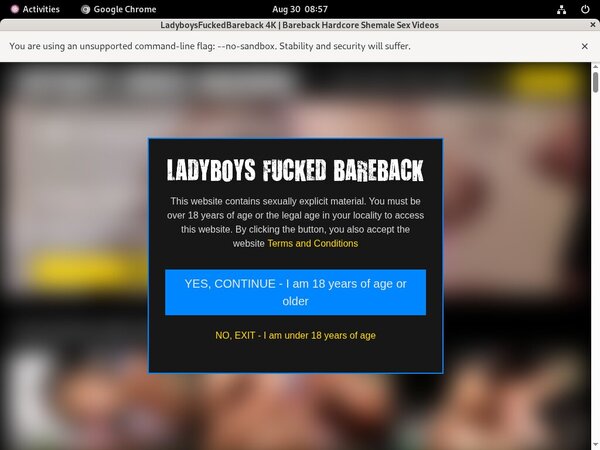 Ladyboysfuckedbareback.com Free Logins 2018 Ladyboysfuckedbareback.com Free Logins 2018