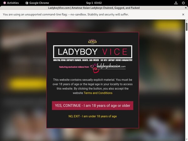 Ladyboyvice Paypal Sign Up