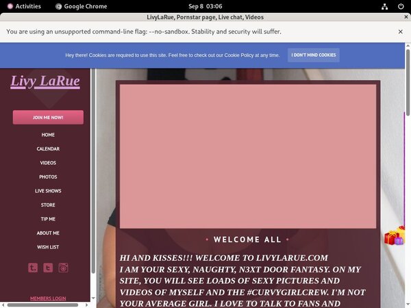 Livylarue.modelcentro.com Discount 70% Off
