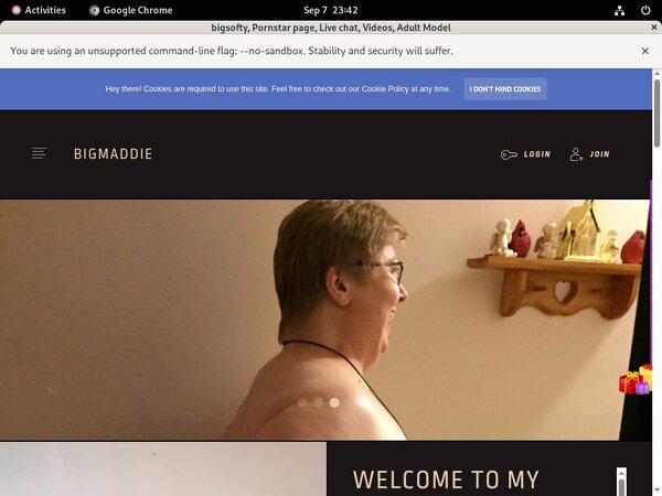 Login Bigmaddie.com Free Trial