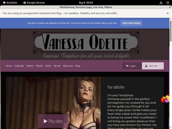 MissVanessa Vxsbill Page
