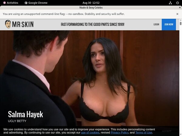 Mrskin.com Passworter