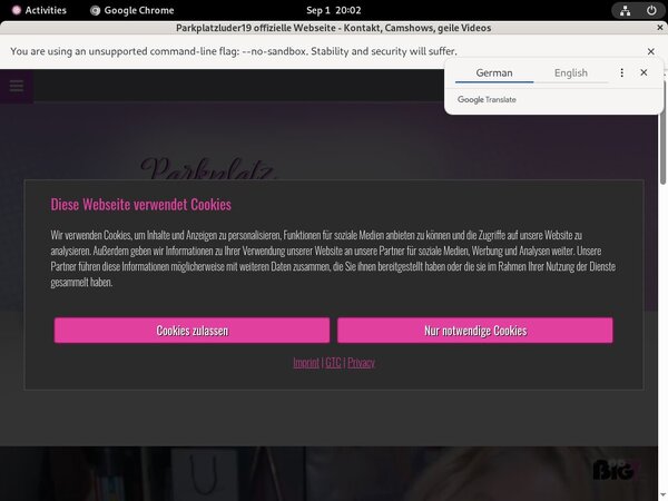 Parkplatzluder19.com Epoch Page