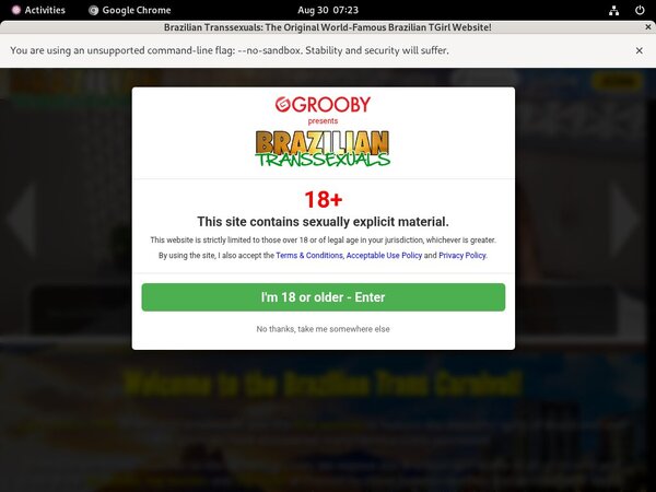 Paypal For Brazilian Transsexuals