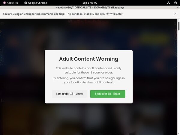 Pornhub Helloladyboy