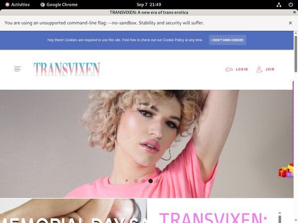 Premium Accounts TransVixen