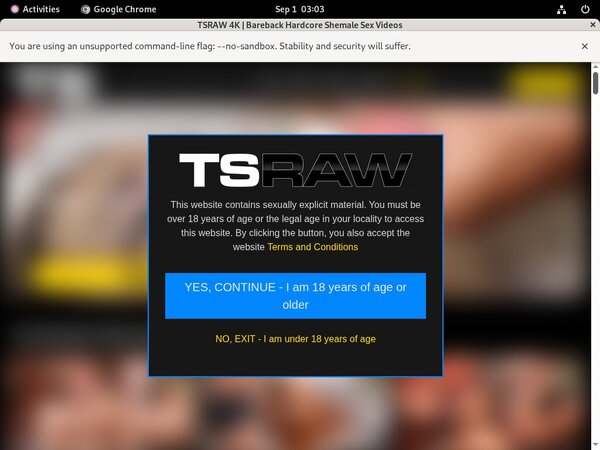 Promo Code TS Raw