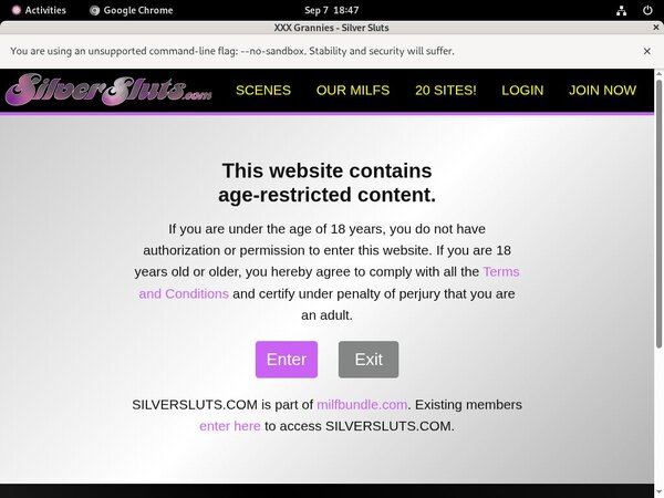 Silver Sluts Working Passwords