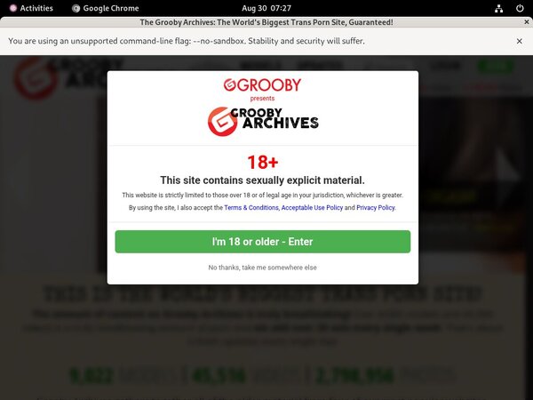 Thegroobyarchives Hd Porn