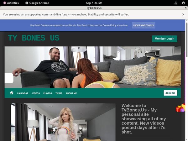 Tybones.us Picture