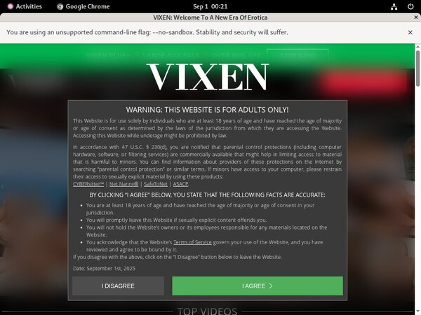 Vixen Naked